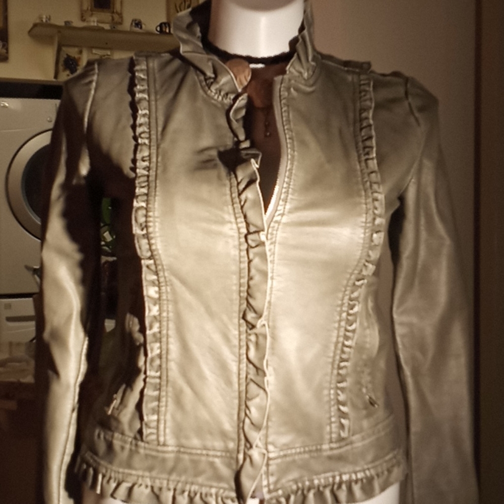 Faux leather gray almost silver jacket.